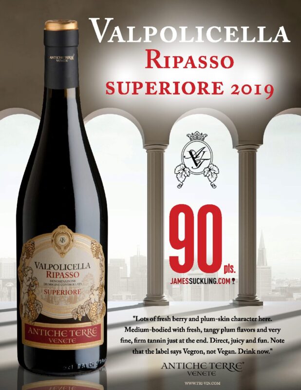 Antiche Terre Valpolicella Ripasso Superiore (2019) (I4882) 22ss